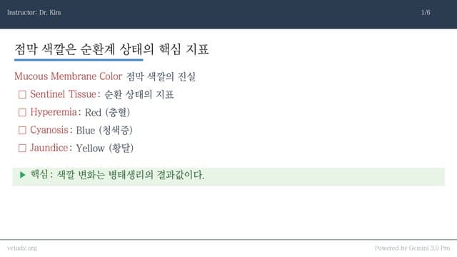 점막 색깔로 끝내는 응급 내과: 충혈, 청색증, 황달의 모든 것