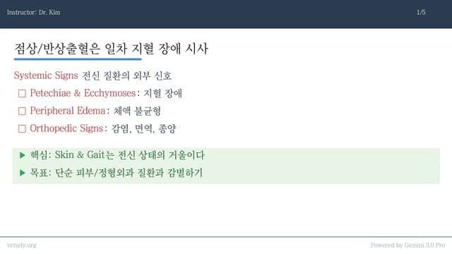 전신 질환의 외부 신호: 출혈, 부종, 파행 완벽 정리