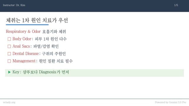 호흡기 증상 완전 정복: 기침부터 비강 질환까지