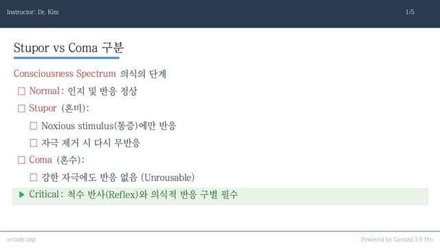 의식 소실과 발작: 응급 신경계 완벽 정복