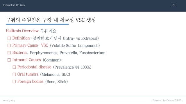구취, 유연증, 연하곤란: 입 냄새부터 삼킴 장애까지 완벽 정리