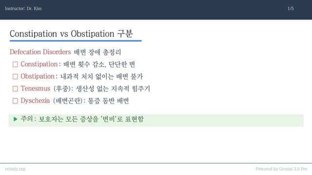 배변 장애와 방귀: 변비부터 실금까지 완벽 정리