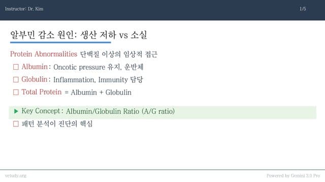 단백질과 혈당: 수치 뒤에 숨은 병태생리 완벽 해석