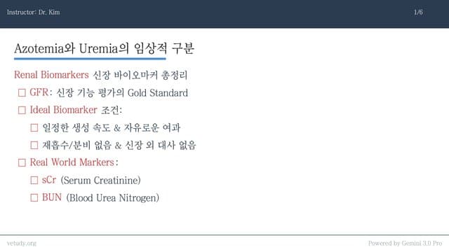 신장 바이오마커 완벽 정리: BUN, Creatinine, SDMA