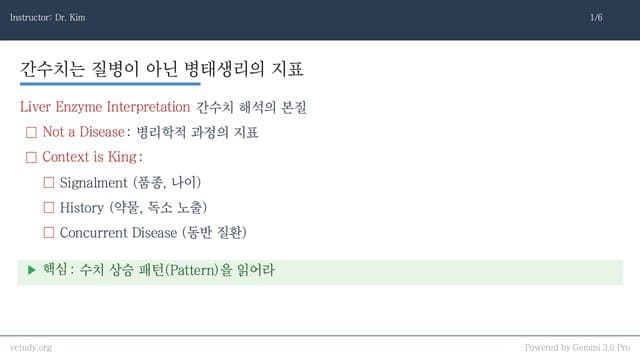 간수치와 CK: 상승 패턴으로 끝내는 감별진단