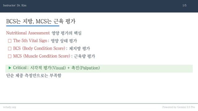 임상 고수를 위한 BCS/MCS & POCUS 완벽 마스터