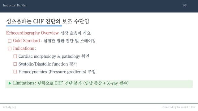 임상 초음파의 정석: 뷰 잡기부터 심화 계측까지 완벽 정리