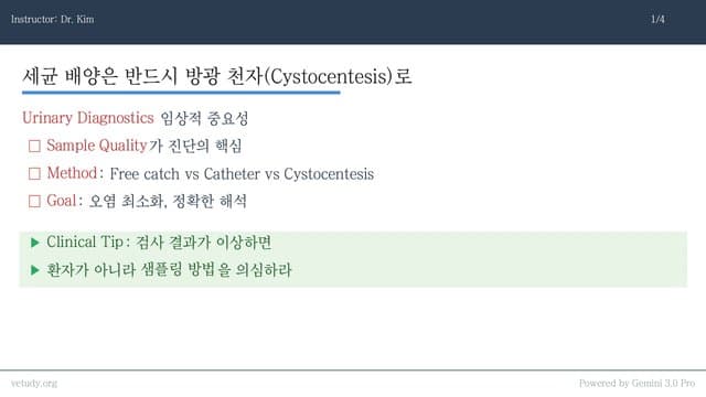 비뇨기 마스터클래스: 뇨 채취부터 요도 폐색(UO) 완전 정복
