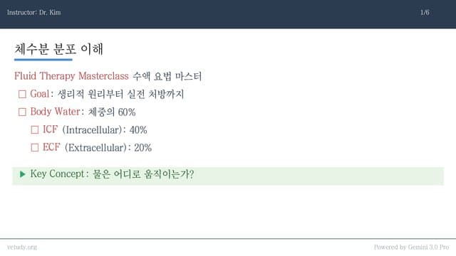 수액 요법의 정석: 생리부터 처방까지 완벽 정리