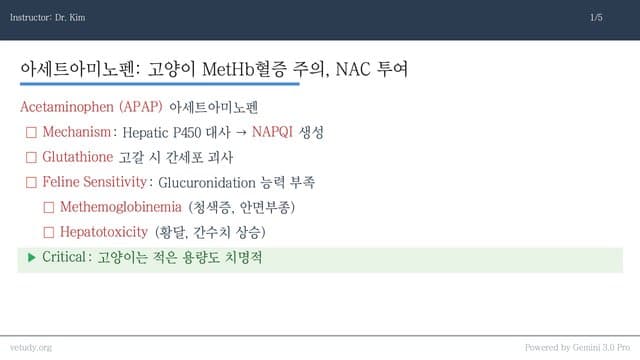 소동물 임상 독성학: 간/신장 독성 완벽 정리