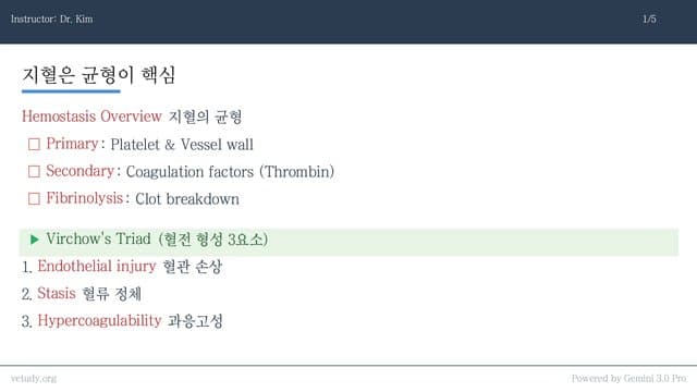 응고장애 완벽 정리: 혈전부터 출혈까지