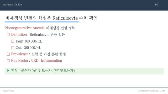 비재생성 빈혈과 적혈구증가증: 골수의 침묵과 폭주