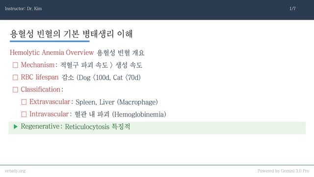IMHA와 재생성 빈혈: 진단부터 치료 프로토콜 완벽 정리