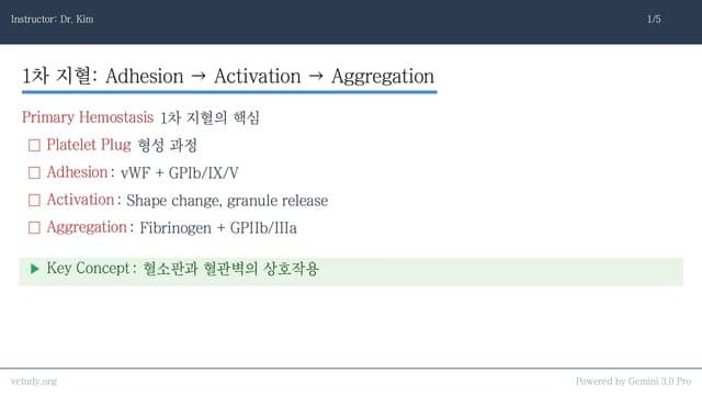 출혈 환자 완벽 정복: ITP부터 VWD까지