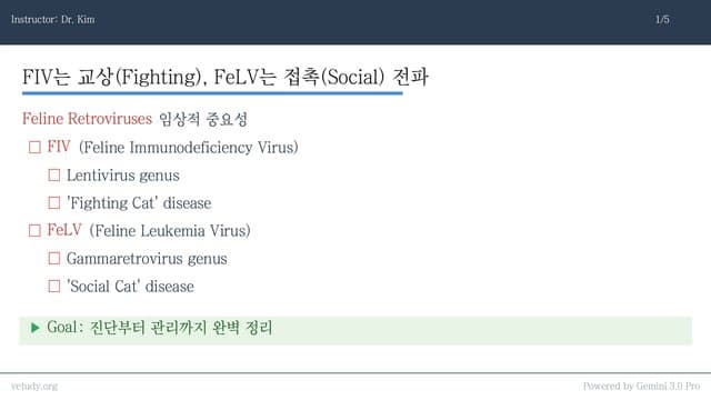 FIV & FeLV: 고양이 레트로바이러스 완벽 정복