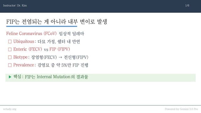 FIP 정복: 병태생리부터 최신 항바이러스 치료까지 완결판