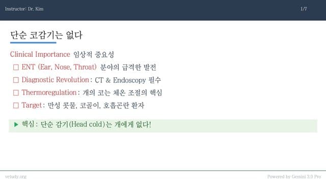 비강, 부비동, 비인두 질환의 완벽한 임상 접근