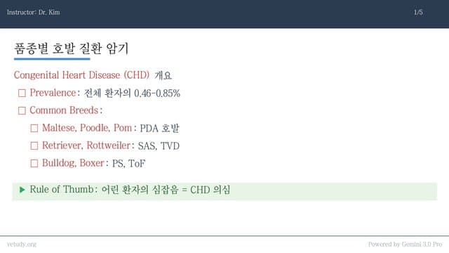 선천성 심장병(CHD) 완벽 정복: PDA부터 ToF까지
