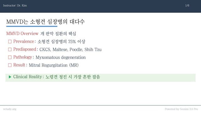 MMVD와 심내막염: 판막 질환의 모든 것