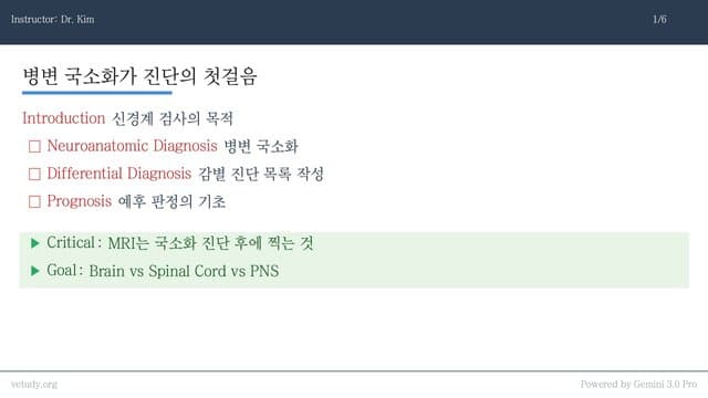 신경계 검사와 병변 국소화: MRI 찍기 전 필수 코스