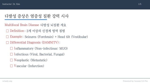 소동물 다발성 뇌질환: 감염부터 MUO 치료 프로토콜까지 완벽 정리