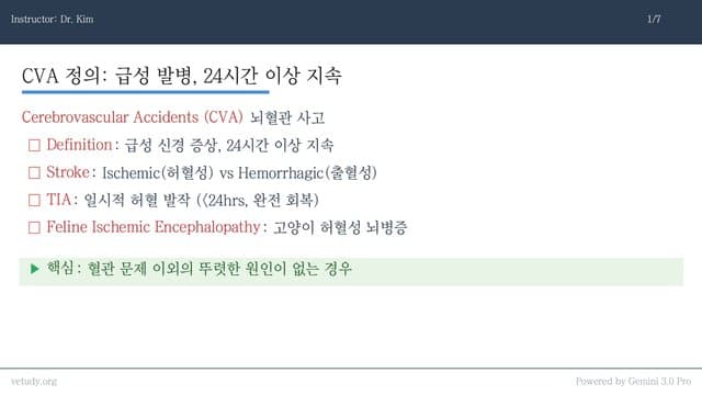 뇌혈관 질환(CVA): 뇌졸중, 이제는 명확히 진단하고 치료한다