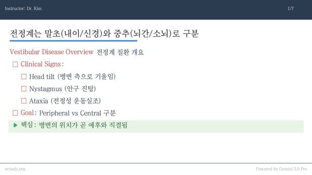 전정계 질환과 뇌신경 병증: 위치 국소화부터 실전 치료까지 완벽 정리