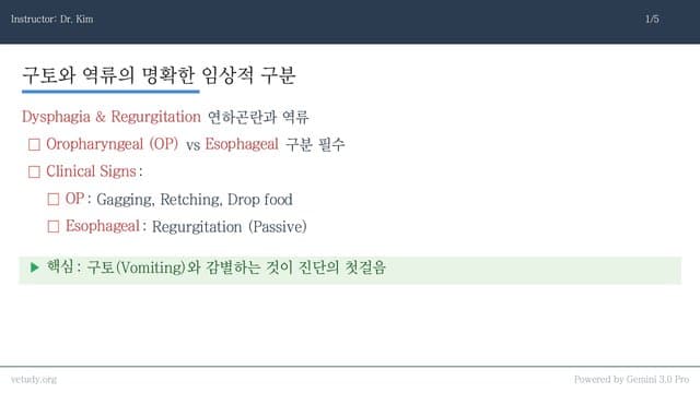 한석원 스타일: 인두 및 식도 질환 완벽 정복