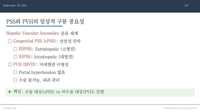 PSS와 간혈관 기형: 진단부터 치료까지 완벽 정리