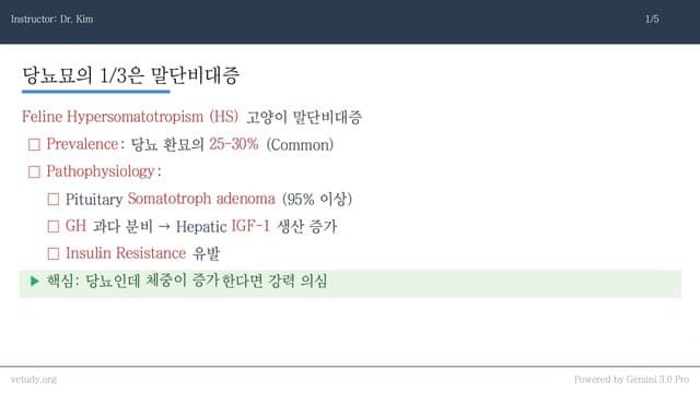 성장호르몬 질환 완전 정복: 고양이 말단비대증부터 강아지 왜소증까지