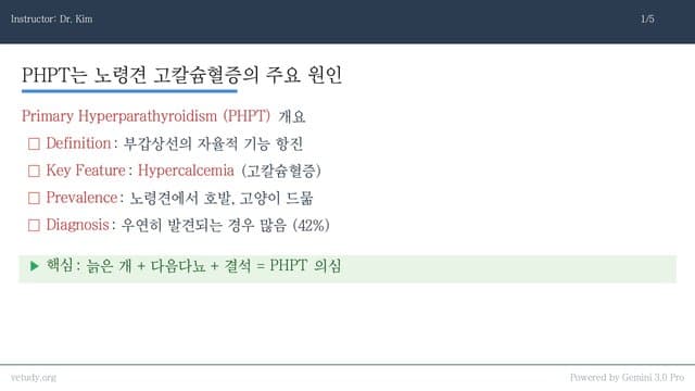 고칼슘혈증의 숨은 주범, PHPT 완벽 정복