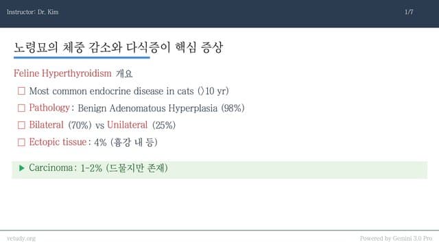 고양이 갑상샘 질환: 항진증부터 저하증까지 완벽 정복