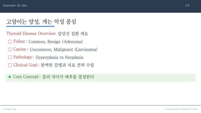 개와 고양이의 갑상선: 극과 극의 임상 접근