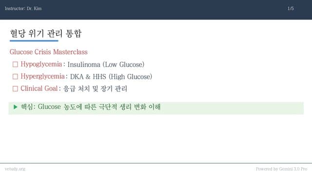 혈당의 양극단: 인슐리노마와 DKA/HHS 완벽 정복
