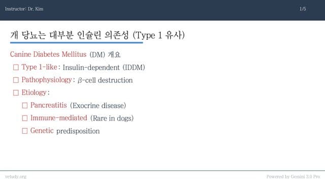 개 당뇨병(Canine DM) 완벽 정복: 인슐린부터 모니터링까지
