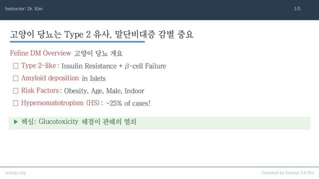 고양이 당뇨(Feline DM): 관해(Remission)를 향한 완벽 공략