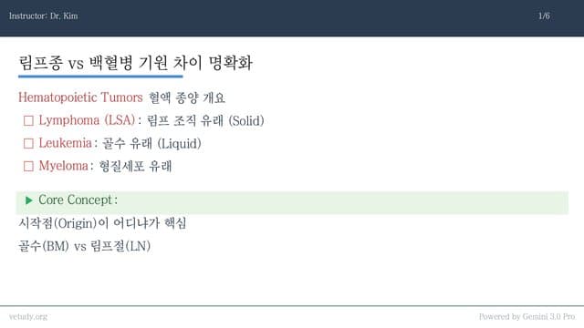 혈액 종양 완전 정복: 림프종부터 골수종까지