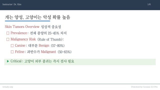 피부 종양 & STS: 개와 고양이의 결정적 차이와 실전 공략