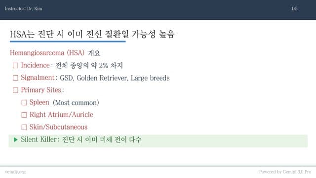 혈관육종(HSA)과 고양이 주사부위육종(ISS) 완벽 정리