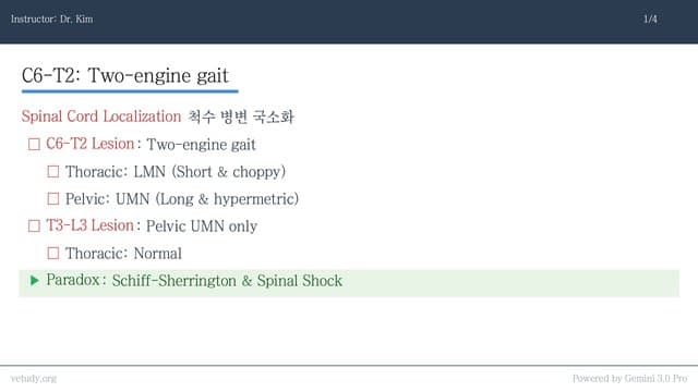 신경계 진단: 국소화부터 생검까지