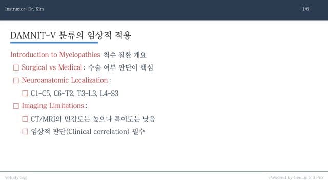 척수 질환의 내과적 감별과 치료 전략