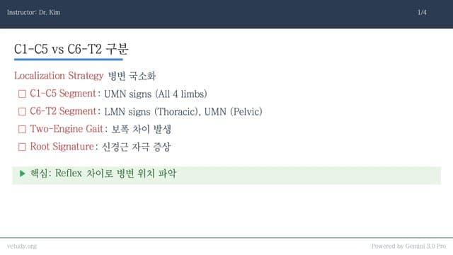 경추 척수 질환: 진단과 치료 전략