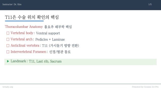 흉요추 디스크: 수술과 관리의 정석