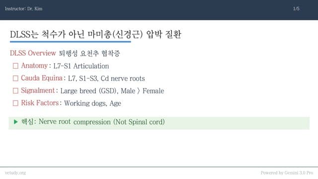 퇴행성 요천추 협착증: 진단과 치료