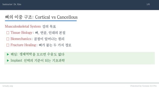 근골격계 조직과 골절 생체역학