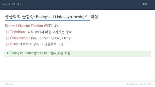 외부골격고정: ESF의 임상적 적용과 기법