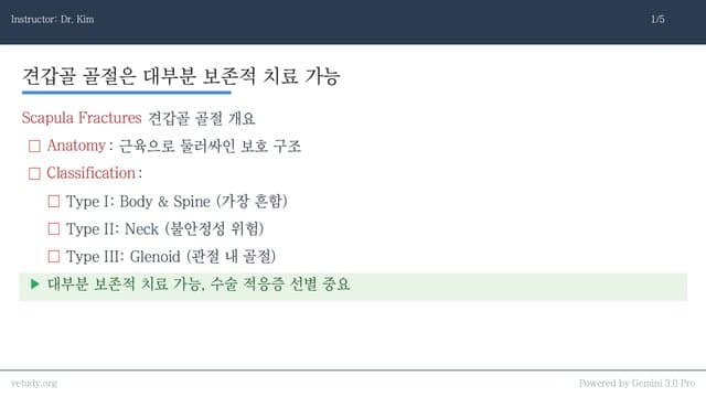 견관절 질환: 골절부터 불안정성까지