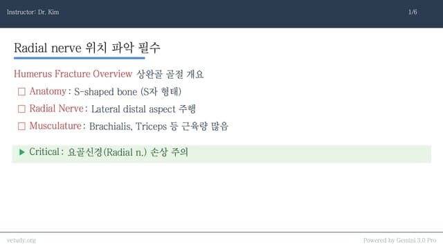 상완골 골절: 해부학부터 IOHC까지