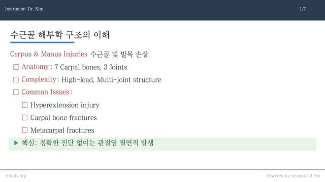 수근골 골절과 관절고정술의 임상 접근