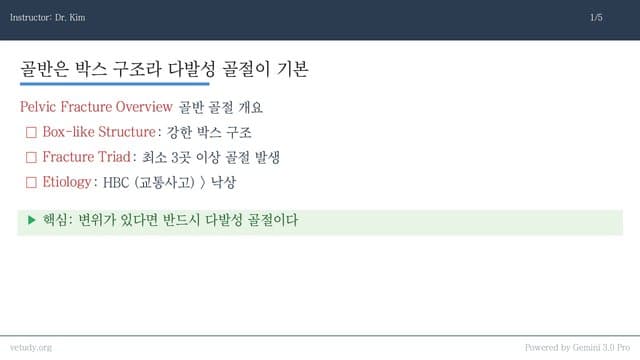 골반 골절: 일리움부터 SI 럭세이션까지